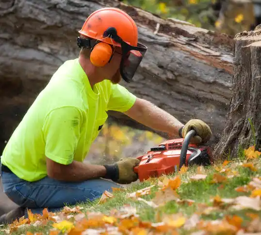 tree services Spencerville